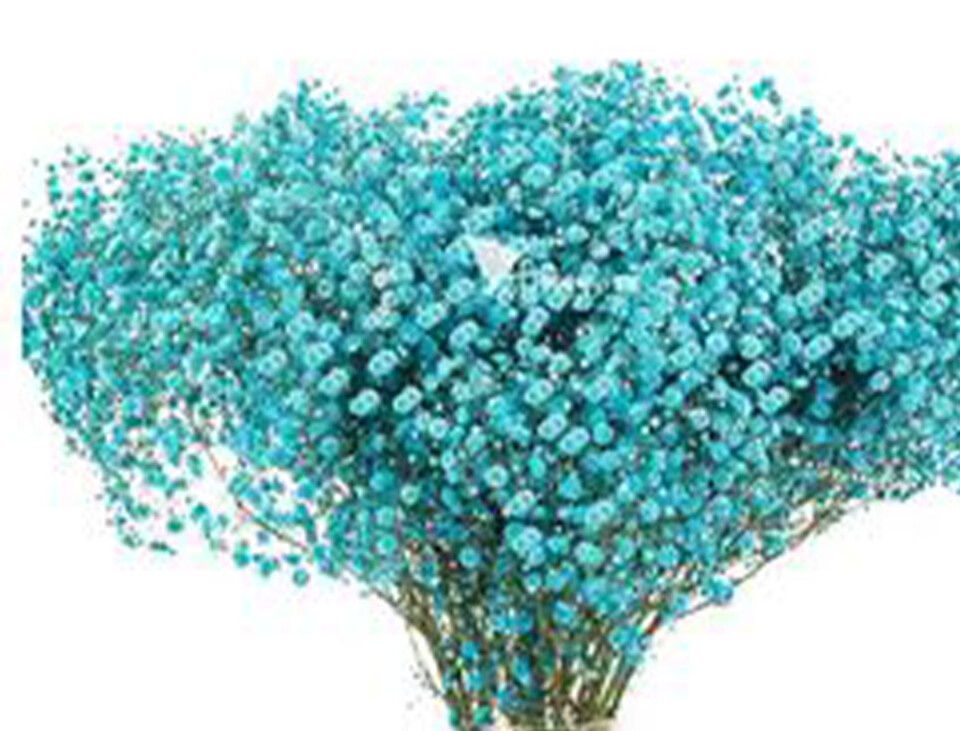 Gypsofilla Naturale Stabilizzata Busta gr. 100 - Sconti per Fioristi e Aziende