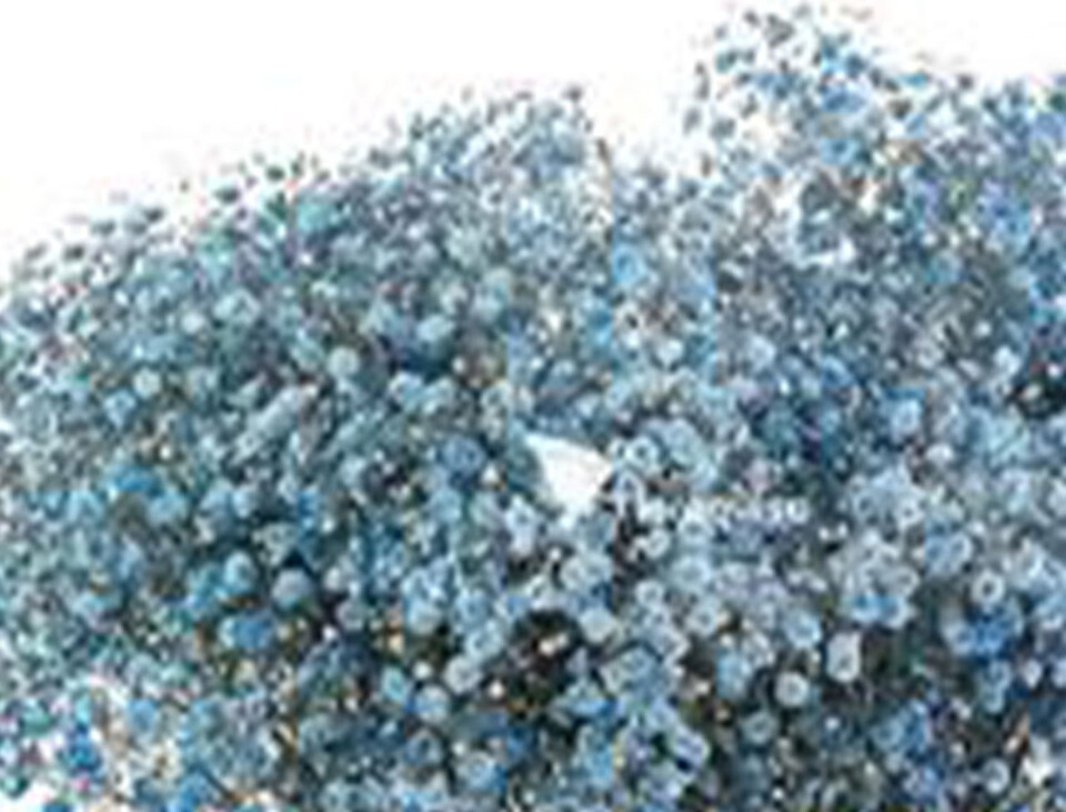 Gypsofilla Naturale Stabilizzata Busta gr. 100 - Sconti per Fioristi e Aziende