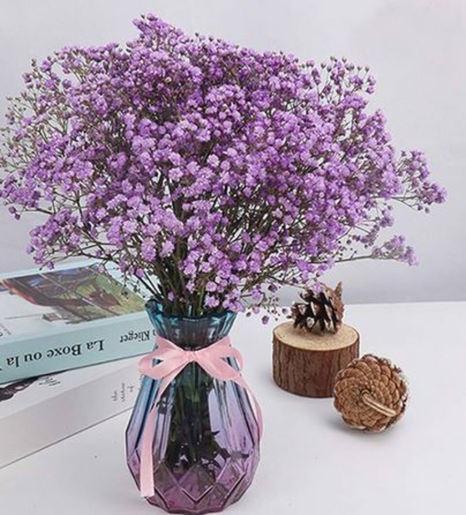 Gypsofilla Naturale Stabilizzata Busta gr. 100 - Sconti per Fioristi e Aziende