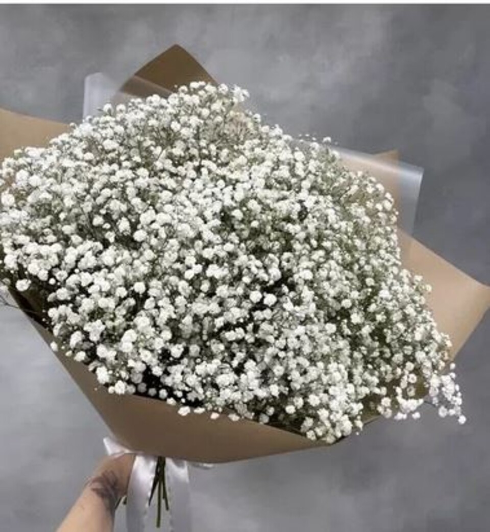 Gypsofilla Naturale Stabilizzata Busta gr. 100 - Sconti per Fioristi e Aziende