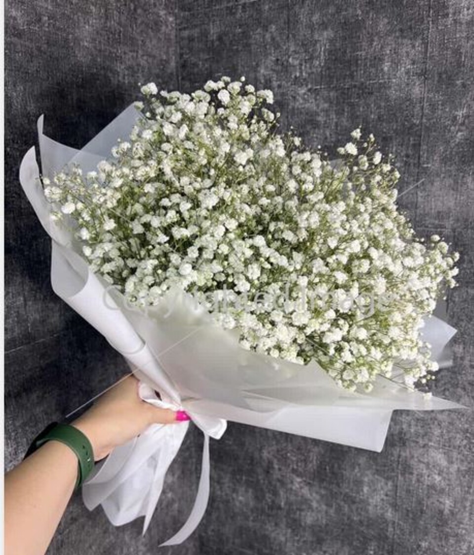 Gypsofilla Naturale Stabilizzata Busta gr. 100 - Sconti per Fioristi e Aziende