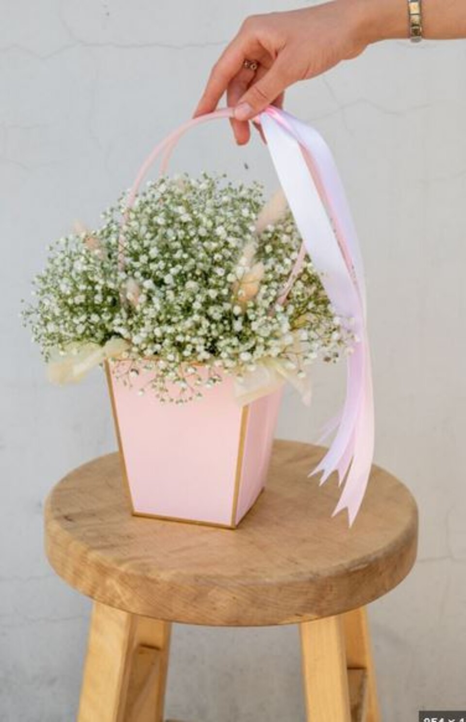 Gypsofilla Naturale Stabilizzata Busta gr. 100 - Sconti per Fioristi e Aziende