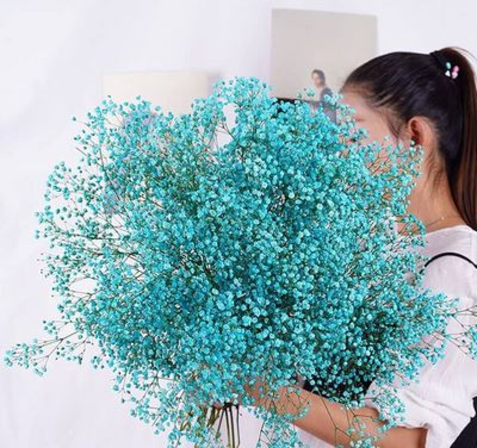 Gypsofilla Naturale Stabilizzata Busta gr. 100 - Sconti per Fioristi e Aziende