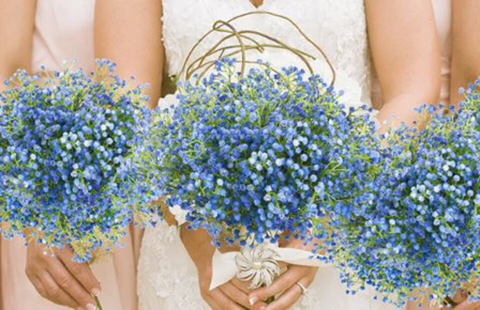 Gypsofilla Naturale Stabilizzata Busta gr. 100 - Sconti per Fioristi e Aziende