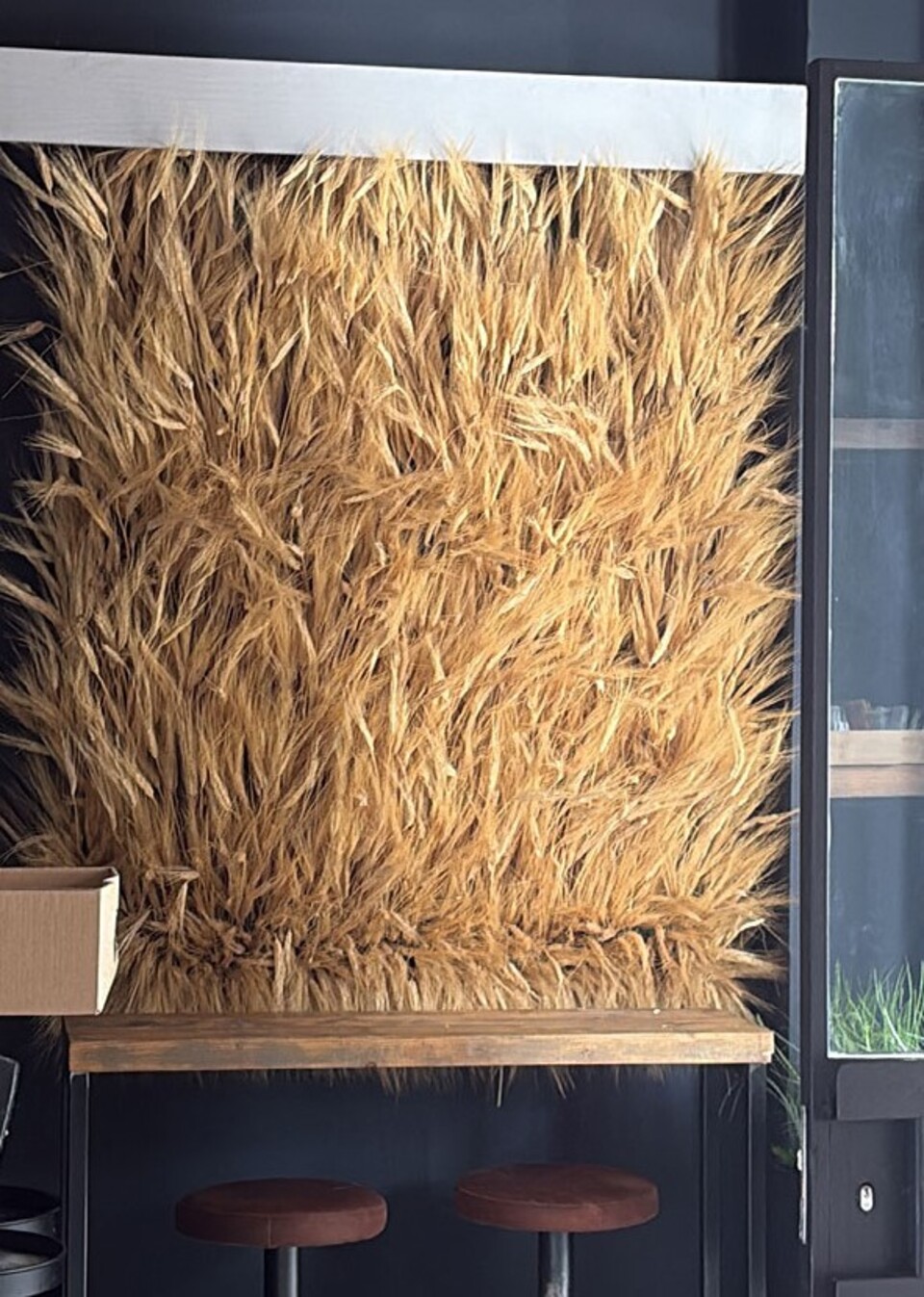 Parete Spighe di grano preservate per Ristoranti, Hotels e Resort . - prezzo a metro quadrato