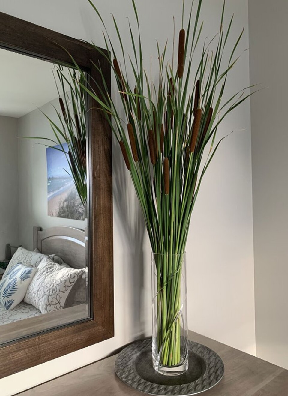 Tipha marrone Glitterata x 8 H 120  - Sconti per Fioristi e Aziende