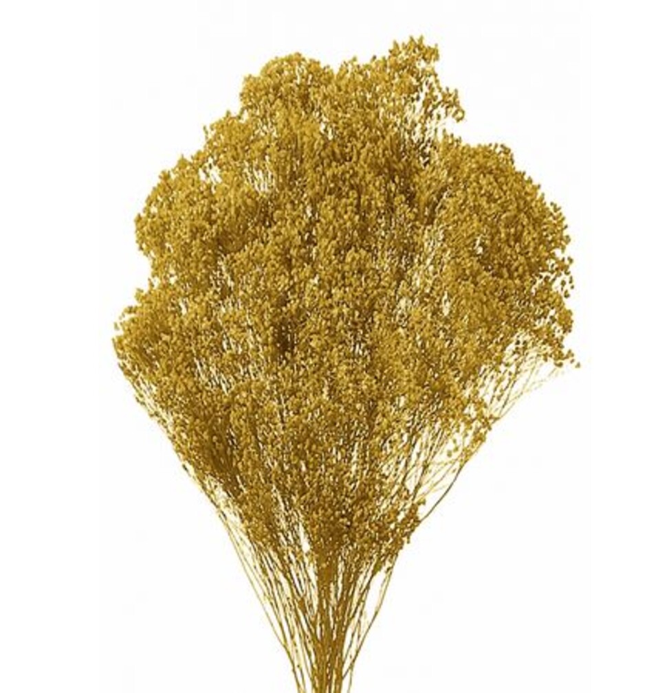 Broom Bloom Naturale colorato Gr. 100 - Sconti per Fioristi e Aziende