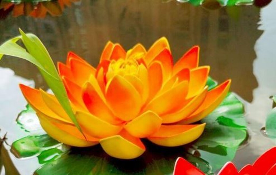 Ninfea Galleggiante dm.18 H12 - Sconti per Fioristi e Aziende - In Polifoam