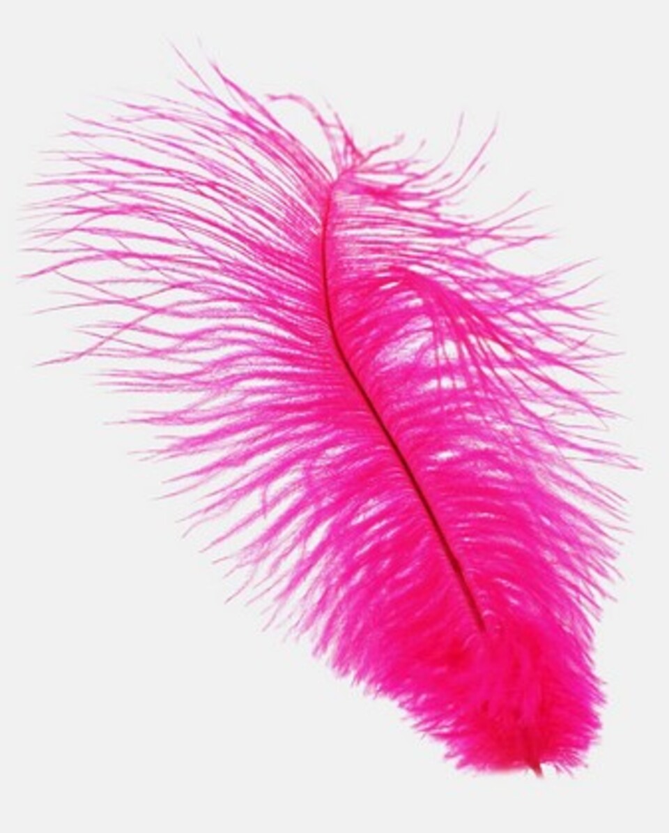 Piume di struzzo cm. 60/70  - Sconto per Fioristi e Aziende - in vari colori