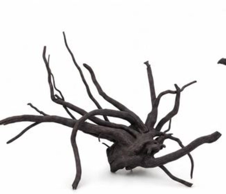 Radice Black Spider cm 80/100 - Prodotto Naturale trattato - Legno Scuro cm 80/100