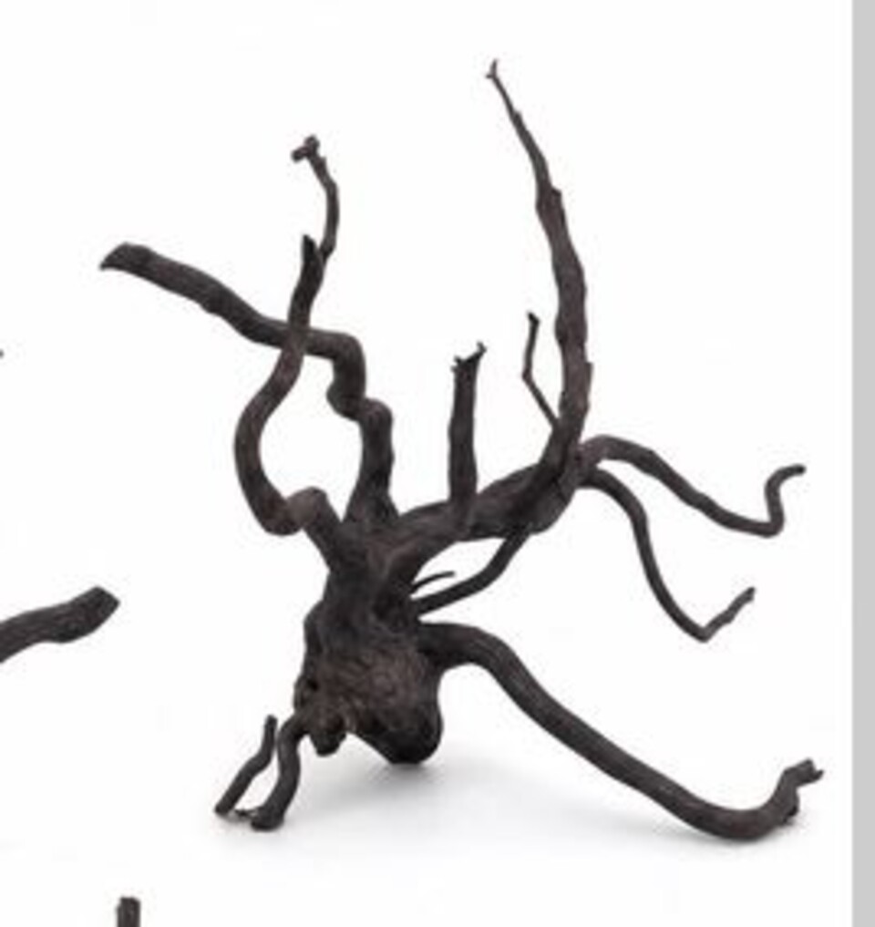 Radice Black Spider - Prodotto Naturale trattato - Legno scuro cm 40/50