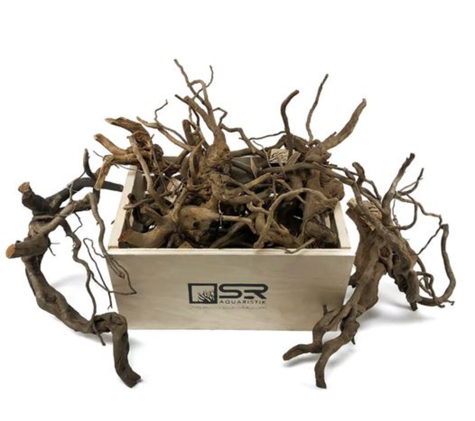 Radice Black Spider - Prodotto Naturale trattato - Legno scuro cm 40/50