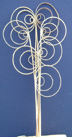 Cane Coil naturale H 70/80/100 - Sconti per Fioristi e Aziende