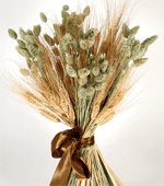 Spighe di grano stabilizzato mazzo 100 steli - Sconti per Fioristi e Aziende