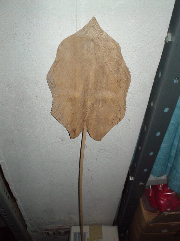 Palm on stem x 5 Naturale - Sconti per Fioristi e Aziende