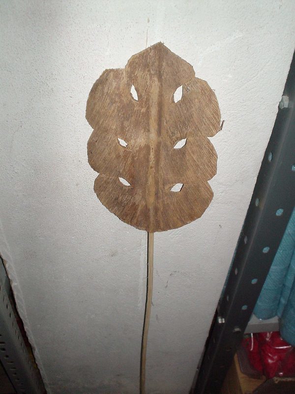 Palm on stem x 5 Naturale - Sconti per Fioristi e Aziende