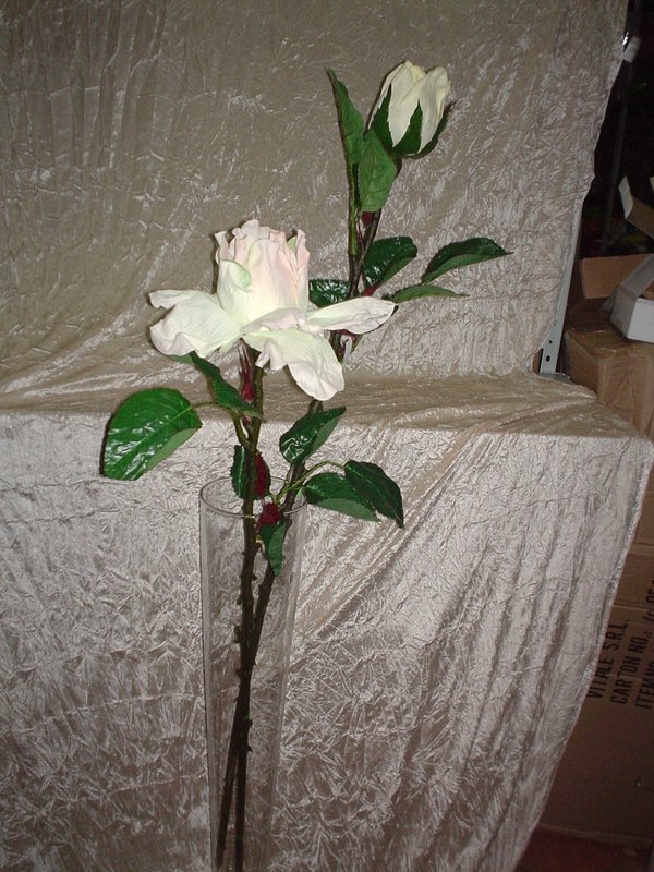 Rosa Gigante e Bocciolo Gigante in Micropeach H 130 - Sconti per Fioristi e Aziende