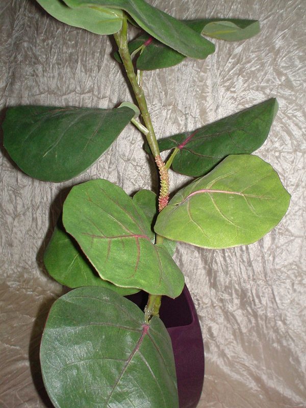 Sea Grape x 2 con 14 foglie - Sconti per Fioristi e Aziende - Artificiale in Poliestere