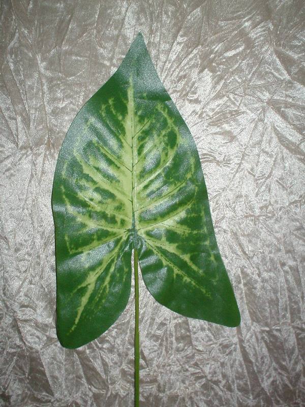 Foglia di Singonium H 56 - Sconti per Fioristi e Aziende . - Verde artificiale