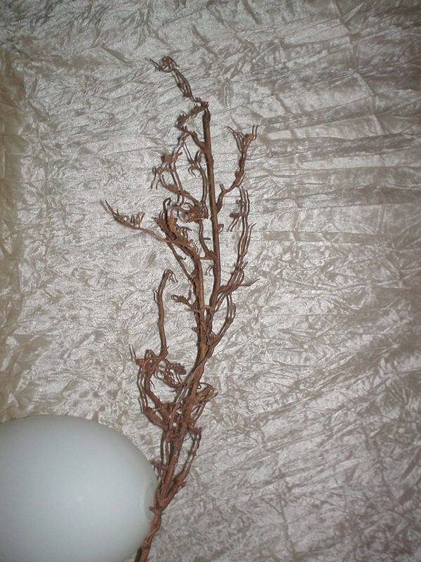 Willow Twig contorto cm. 90  - Sconti per Fioristi e Aziende - in plastica animata