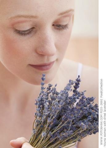 Lavanda naturale profumata Mazzo gr. 40- Sconti per Fioristi e Aziende . -  H 30