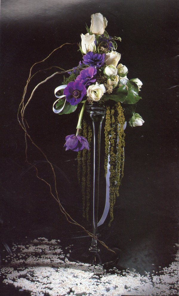 Amaranthus caudatum stabilizzato - Sconti per Fioristi e Aziende . - H 90/110