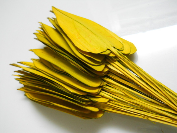 Foglie Naturali x 50 Arrows tagliate a cuore - Sconti per Fioristi e Aziende