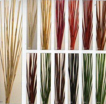 Equisetum Red Bundle  - Sconti per Fioristi e Aziende . - Mazzo gr. 200 stabilizzato
