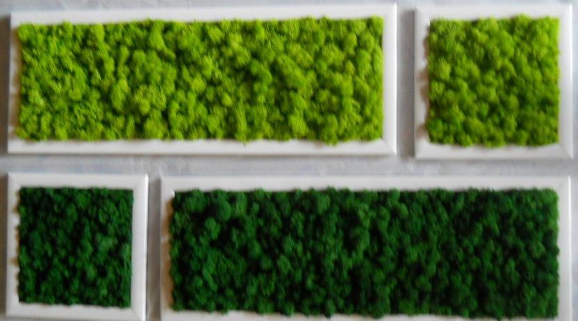 Quadro Moss cm. 20 x 60 - Sconti per Fioristi e Aziende . - Head e Flat work