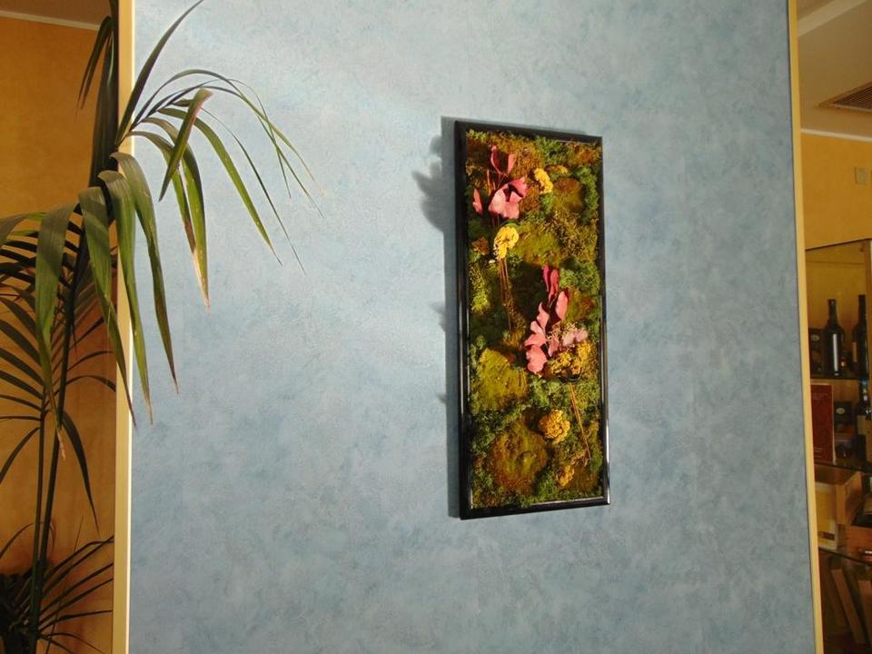 Quadro Vegetale Preservato Nido di Rondine cm. 80 x 34 - Sconti per Fioristi e Aziende