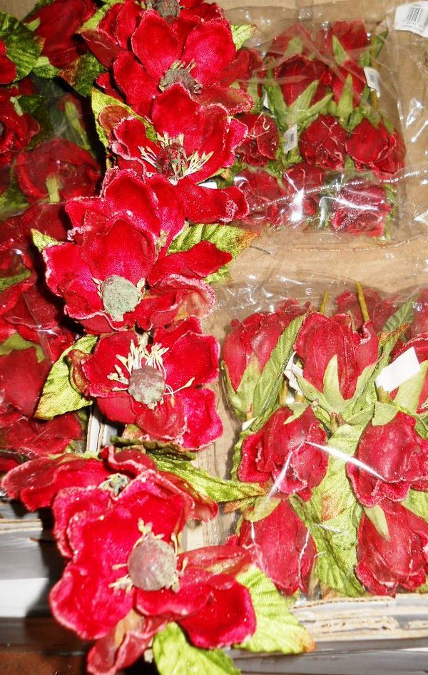 Magnolia Velluto Rosso  - Sconti per Fioristi e Aziende . - dm.15 e 25