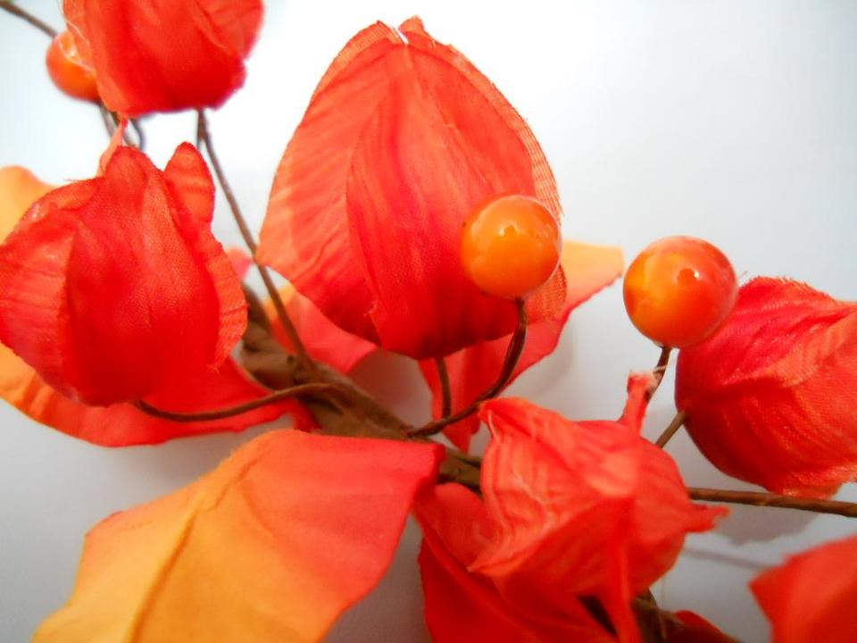 Fisalis Pick Orange Artificiale in poliestere - Sconti per Fioristi e Aziende