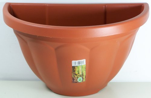 Gerla murale Dorica in plastica cm. 30 x 18 - Sconti per Fioristi e Aziende