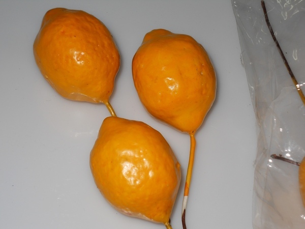 Limoni x 6  steccati H 13 - Sconti per Fioristi e Aziende .