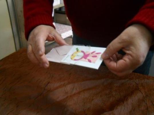 Espositore 120Bigliettini  - Sconti per Fioristi e Aziende - Imbustati Decoro Fiori