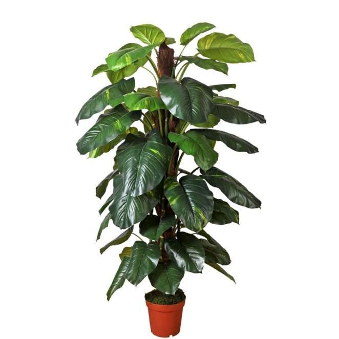 Pothos Tropical H 188 in vaso - Sconti per Fioristi e Aziende . - Artificiale in Poliestere