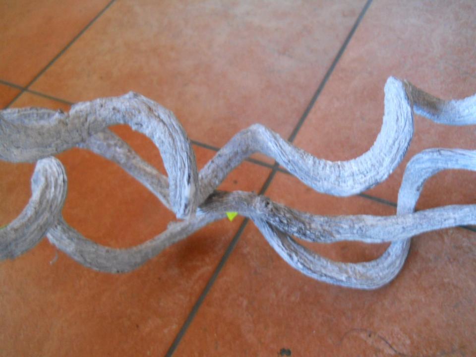Snake Rattan H 120 dm.2/3 - Sconti per Fioristi e Aziende - Naturale Calcinato