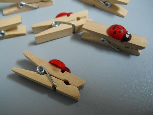 Mollette in legno con coccinella mm. 25 e mm. 35 - Sconti per Fioristi e Aziende
