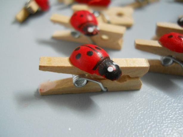 Mollette in legno con coccinella mm. 25 e mm. 35 - Sconti per Fioristi e Aziende
