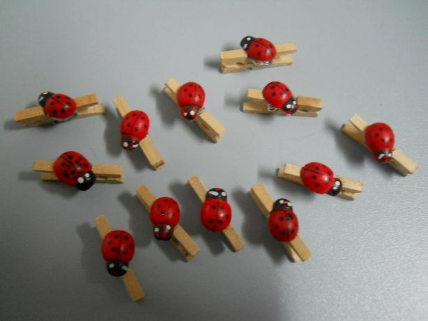 Mollette in legno con coccinella mm. 25 e mm. 35 - Sconti per Fioristi e Aziende