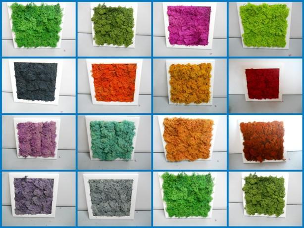 Quadro moss cm. 20 x 20 - Sconti per Fioristi e Aziende . - Head o Flat work