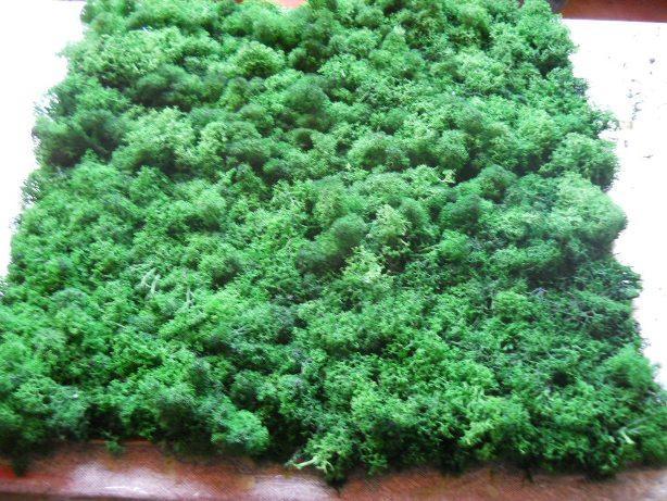 Pannello Moss cm. 40 x 40  Flat Work - Sconti per Fioristi e Aziende