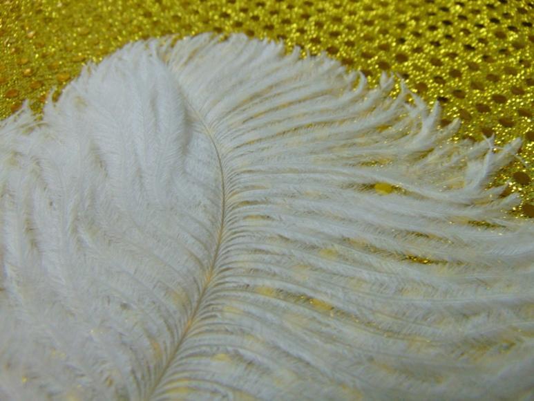 Piume di struzzo cm. 55/60  - Sconto per Fioristi e Aziende - in vari colori