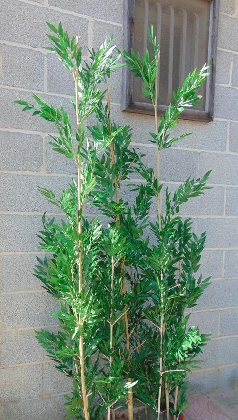 Canna di Bamboo H 270  - Sconti per Fioristi e Aziende . - Naturale con foglie Artificiali