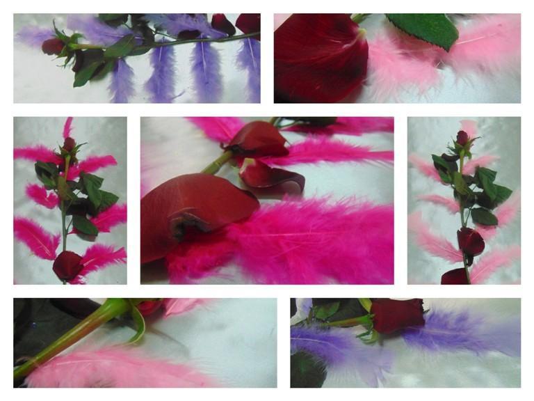 Piume di struzzo colorate H 17 - Sconto per Fioristi e Aziende -  singole