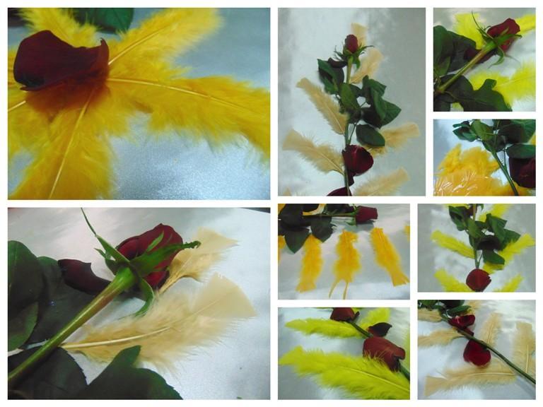 Piume di struzzo colorate H 17 - Sconto per Fioristi e Aziende -  singole