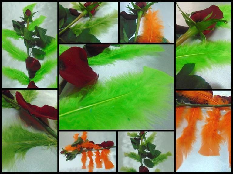 Piume di struzzo colorate H 17 - Sconto per Fioristi e Aziende -  singole