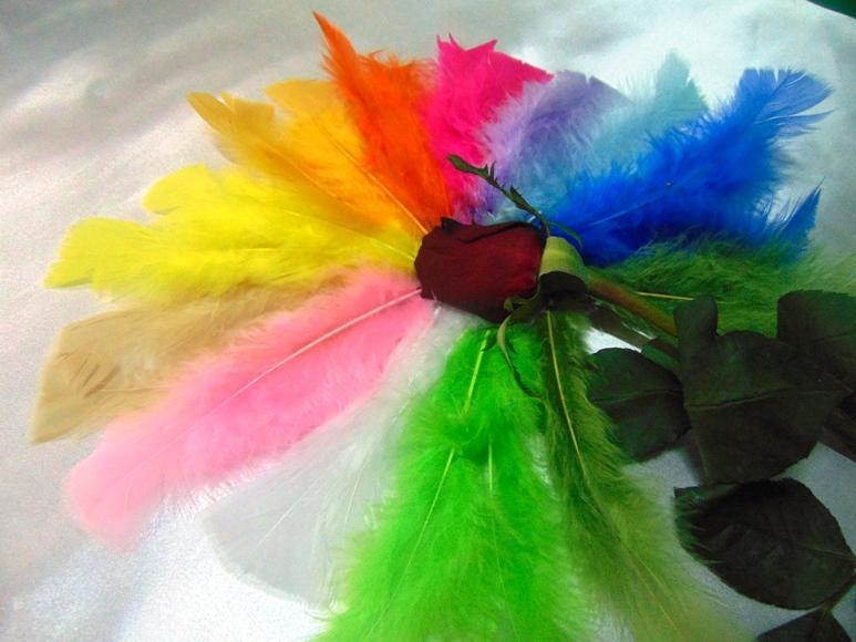 Piume di struzzo colorate H 17 - Sconto per Fioristi e Aziende -  singole