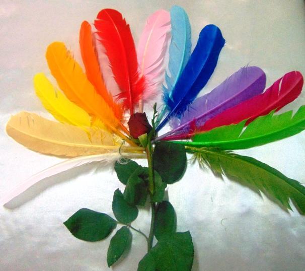 Piume colorate H 29 cm.  - Sconto per Fioristi e Aziende - conf. monocolore da 6 piume