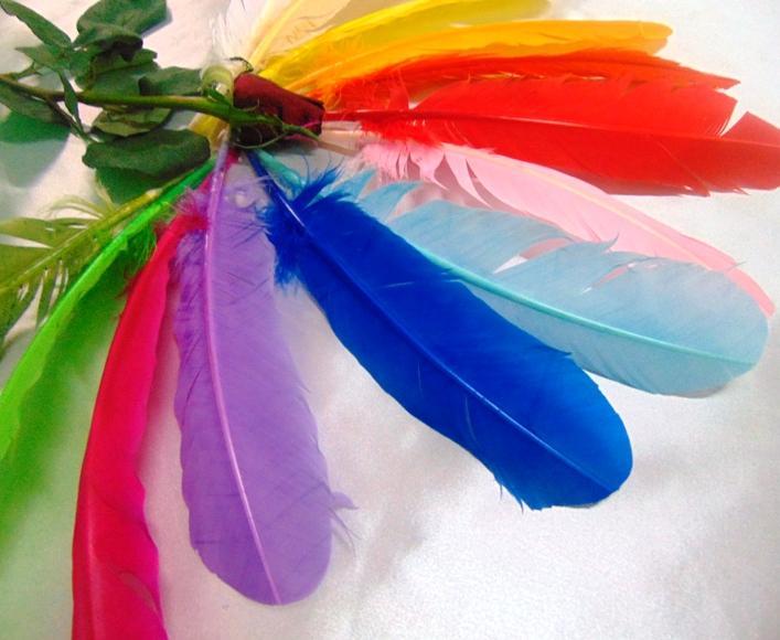 Piume colorate H 29 cm.  - Sconto per Fioristi e Aziende - conf. monocolore da 6 piume